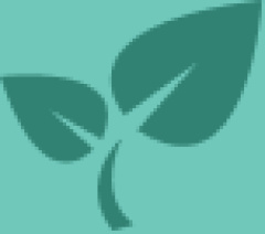 leaves icon