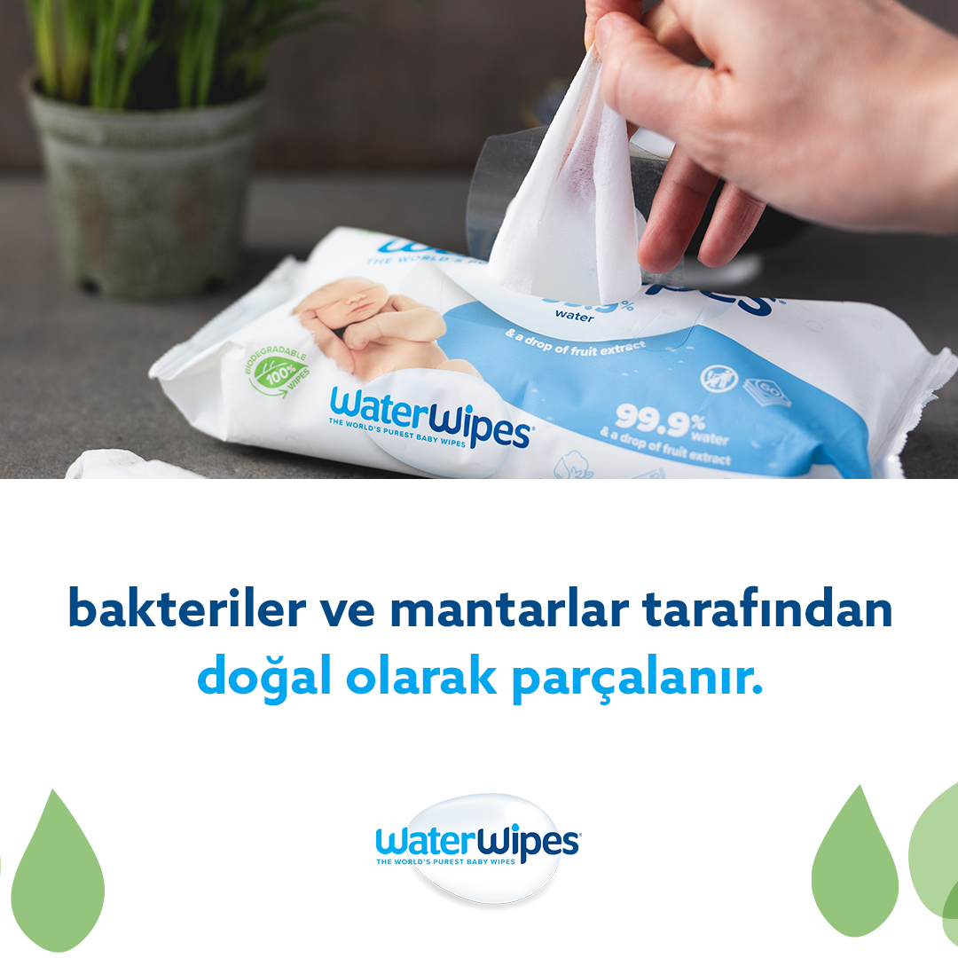 WaterWipes Orjinal Bebek Mendilleri (12x60) 720 adet